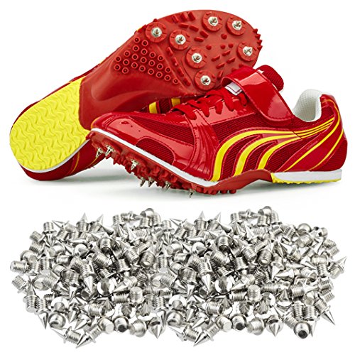 Wobe 200 Pcs 1/4 Inch Stainless Steel Spikes with 1 Pcs Spike Wrench, 0