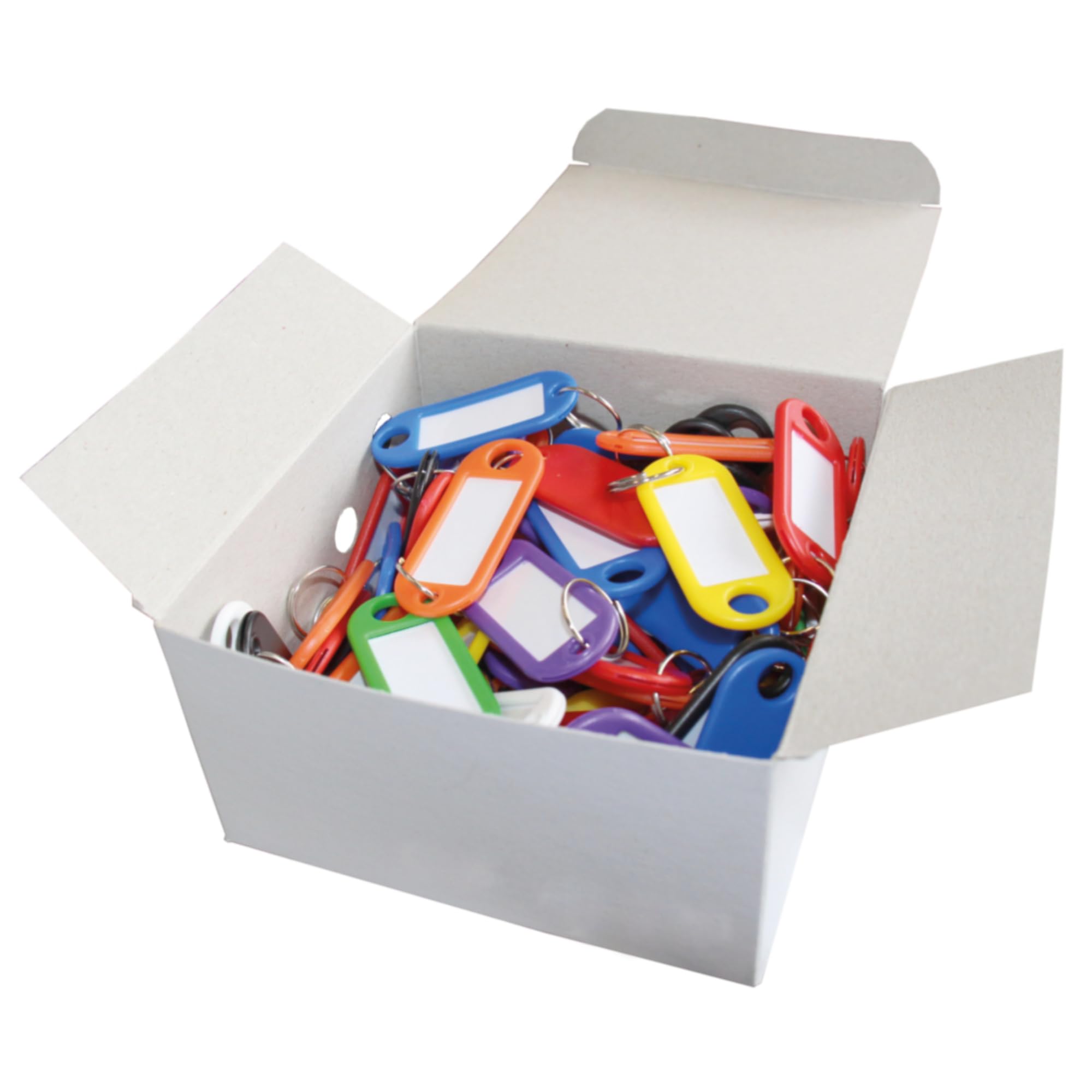 WEDO 262811899 Key Fob for Labelling, Pack of 100, with Ring