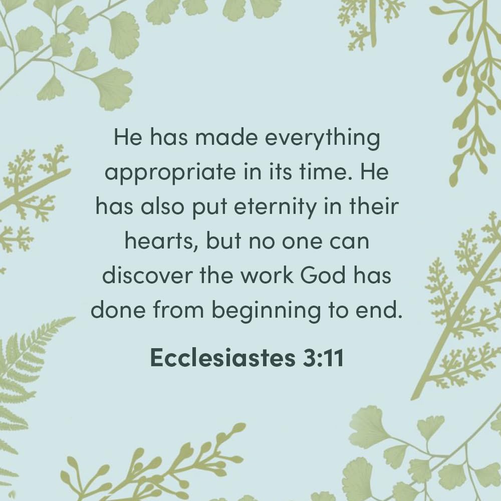 Life Under the Sun - Bible Study Book: The Unexpectedly Good News of Ecclesiastes