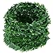 EBOOT 24.6 Yards Artificial Garland Foliage Green Leaves Fake Vine for Party DIY Headbands