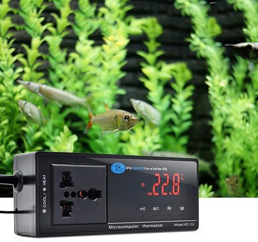 any control reptile thermostat