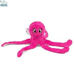 Best Pet Supplies Interactive Squeaky Dog Chew