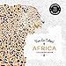 Vive Le Color! Africa (Adult Coloring Book): Color In; De-stress (72 Tear-out Pages)