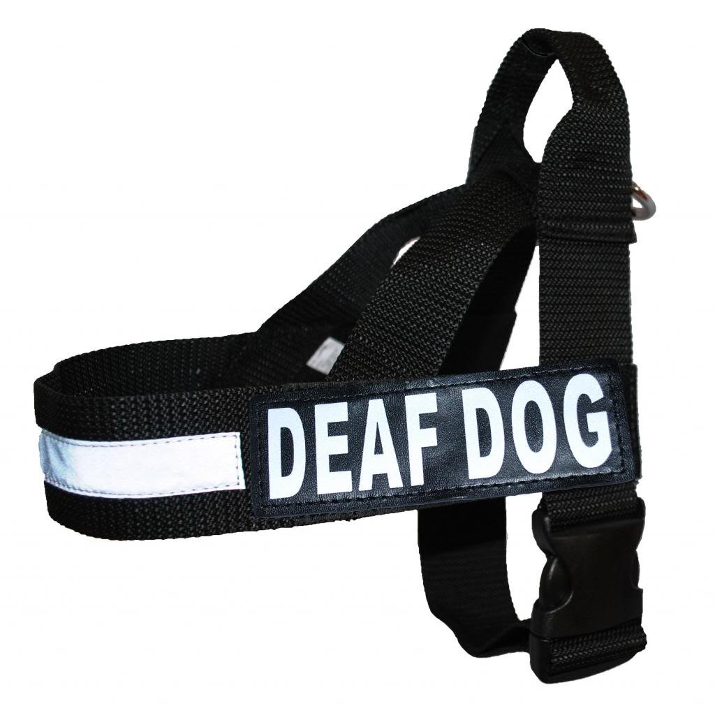 Deaf Dog Nylon Strap Service Dog Harness No Pull Guide Assistance Comes with 2 Reflective Deaf Dog Removable Patches. Please Measure Your Dog Before Ordering.