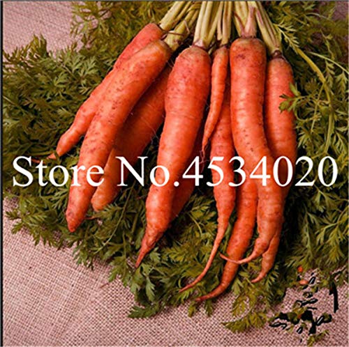 Bloom Green Co. 100 pzas Bonsai de zanahoria, flores de frutas y ...