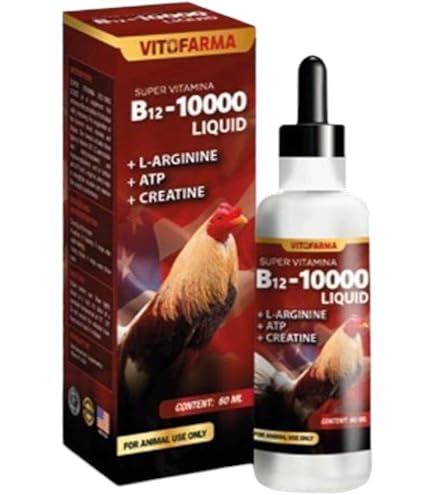 super b12 5500 con hierro l carnitina booster for rooster Amazon.com: VITOFARMA B12 5500 100 ml – Nutritional Energy Support for  Roosters – Poultry Feed Supplement – for Animal Use Only : Health &  Household