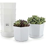 Vasetti Piante Set Vasi Per Piante In Plastica Terracotta - 60 Pezzi Da 9cm 3 Vassoi Trasporto, Per Interni Ed Esterni Vasi Per Bonsai - Foto 12