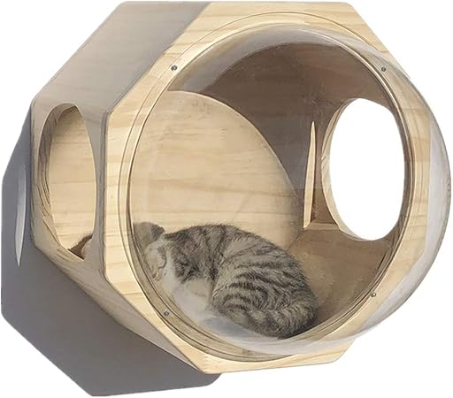 indoor cat jungle gym