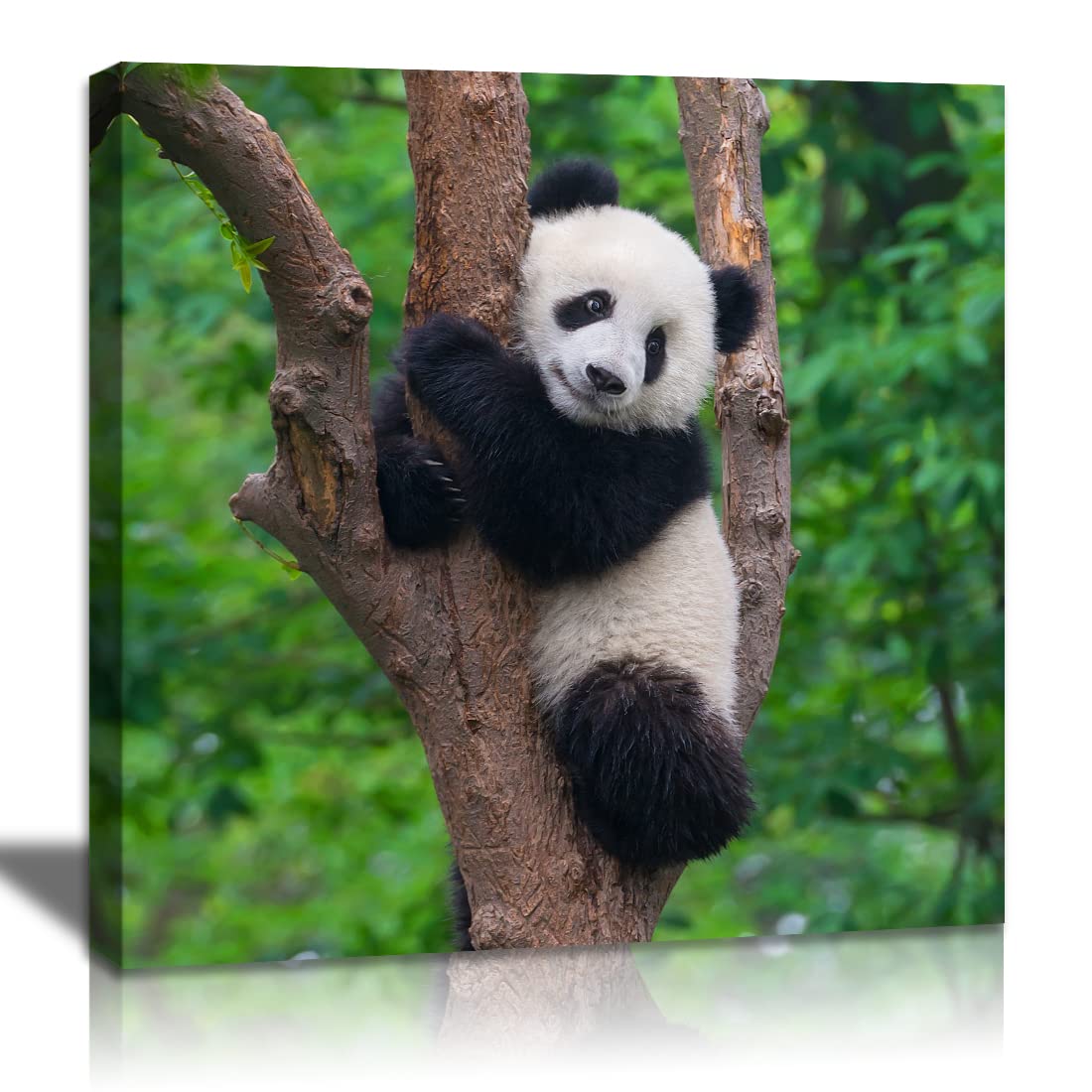 Photo 1 of QTESPEII Black and White Animal Panda Wall Art, Cute Panda Poster Picture Canvas Prints Green Painting Wall Decor for Bedroom Bathroom Nursery Framed Artwork Home Decoration, 12"x12"x 1 Piece