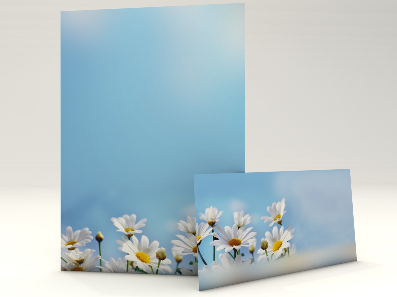 Gänseblümchen, 50 Blatt Motivpapier 100g/qm und 50 passende Motivumschläge DIN LANG