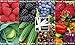 Vegetable Seeds & Fruit Seeds Combo Pack (Organic) 980+ Seeds 646263362983 Self Fertile + 8 Free Plant Markers Cucumber Lettuce Cabbage Bell Pepper Blackberry Raspberry Grape Strawberry