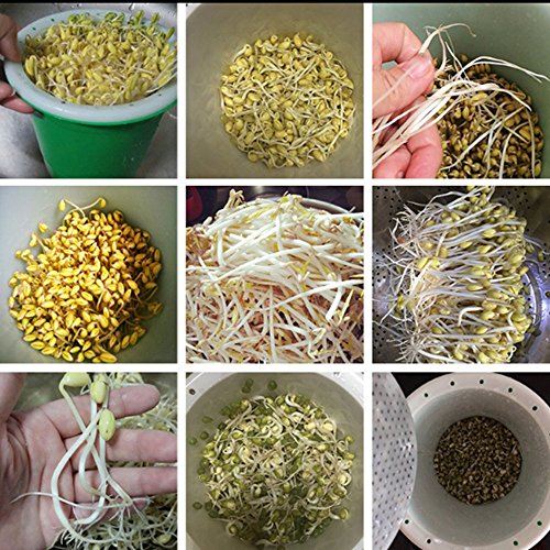 Petforu Bean Sprouts Maker Maifan Stone Sprouting Machine Vegetables Planter Pot (Small)