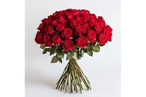 GlobalRose Fresh Cut Dark Red Roses - 50 (2 Bundles of 25) - Real Fresh Flowers Bouquet for Mother's Day, Birthday, Anniversary, Bridal Shower, or Home Decor - Flowers Delivery Gift