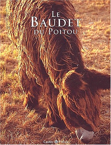 Le  baudet du Poitou