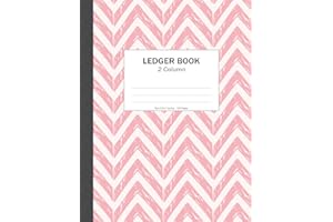 Ledger Book 2 Column: Accounting Ledger Book 2 Column, 120 pages , 8.5x11 inches ( Big size ) : for Bookkeeping, small business