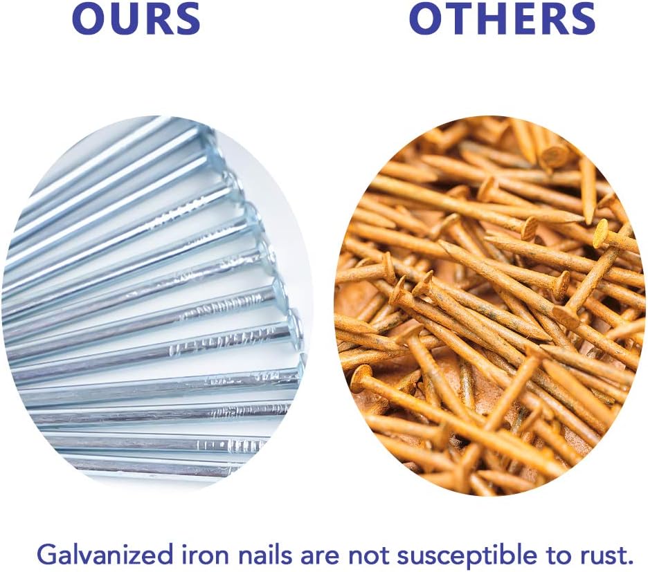 Coceca Hardware Nail Assortment Kit 200pcs, Galvanized Nails, 4 Size Assortment - - 