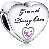 Annmors Silver Charms for Bracelets 925 Sterling Dragonfly Family Heart Love Dangle for Women Bracelet & Necklace Pendant