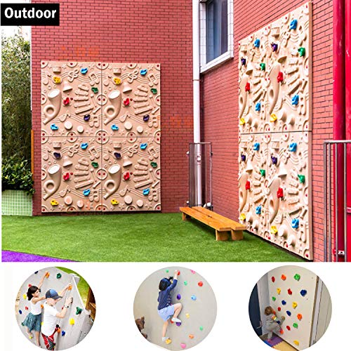 MYOYAY 20 Rocks Climbing Holds Set with Mounting Screws and Hardware