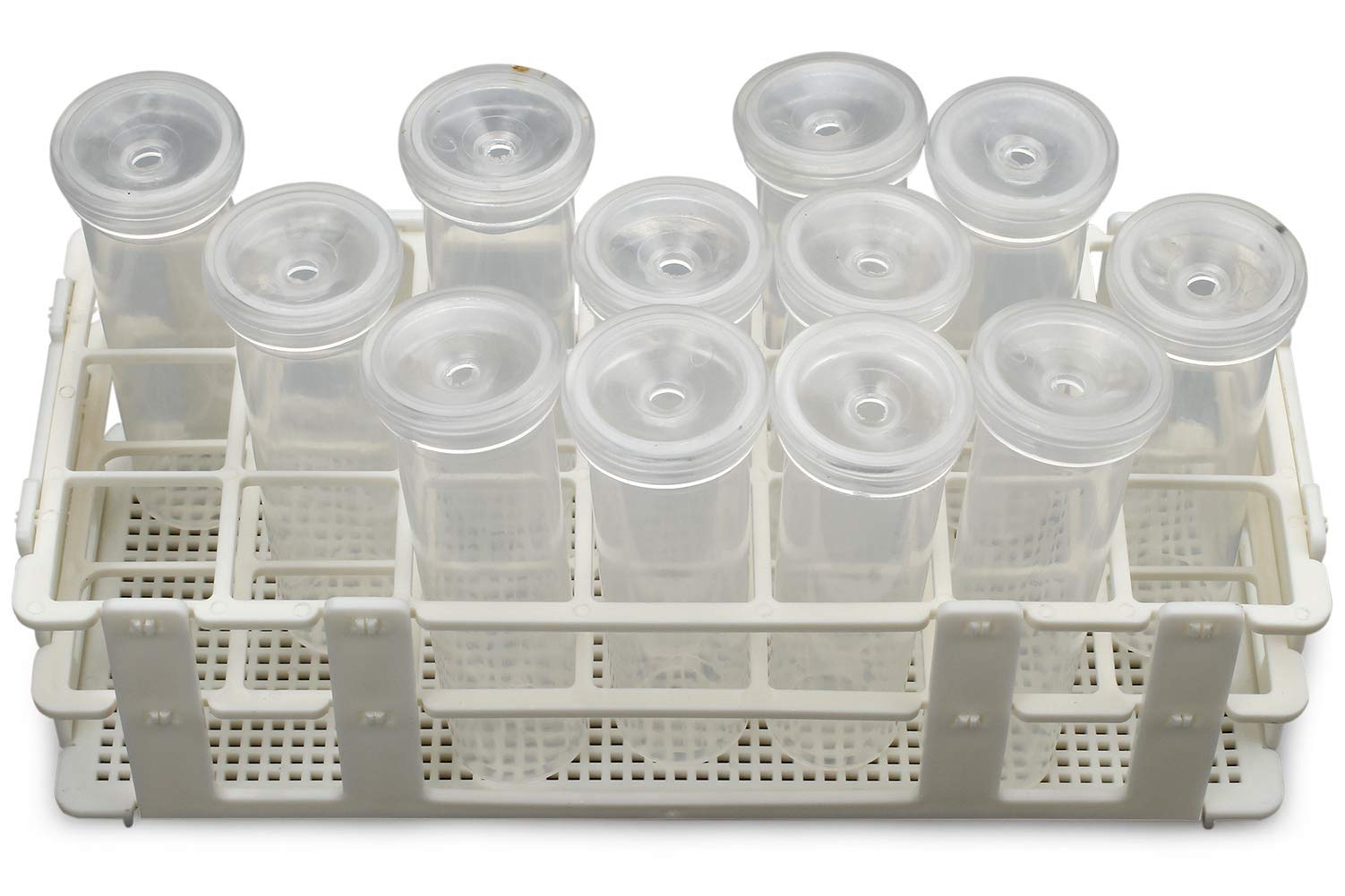 Insect and Butterfly Habitat Cage Terrarium Pop-up 23.6 Inches Tall with 10Pcs 60Ml Floral Tubes with Rack Holder for Milkweed Cuttings