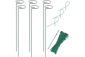 RAIKEDR Plant Stake Support - 6 Pack, Garden Single Stem Support Stake Plant Cage Support Rings, Single Stem Plant Support Stakes, Plant Twist Ties, for Flowers Amaryllis Tomatoes Peony Lily Rose (15.9 inch)
