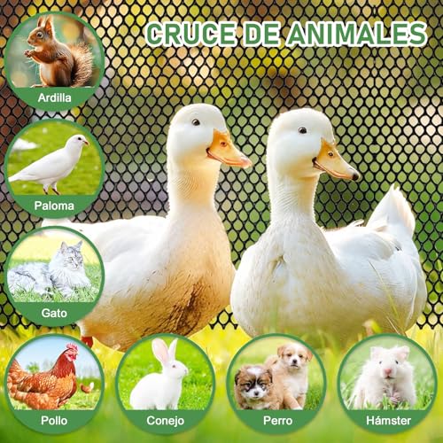 NUOWEI Valla De Plástico Negro, 15,7 Pulgadas x 5 Metros Red Protectora, Malla De Plástico Para Uso En El Jardín o En La Finca, Apta Para Gallinas, Gatos, Perros, Conejos Etc （50 Negro Bridas）