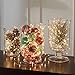 LIIDA 3-Pack Battery Operated Fairy String Lights 20LED Starry Lights Battery Powered 7.2ft Silver Copper Wire for Birthday Party Wedding Decorations