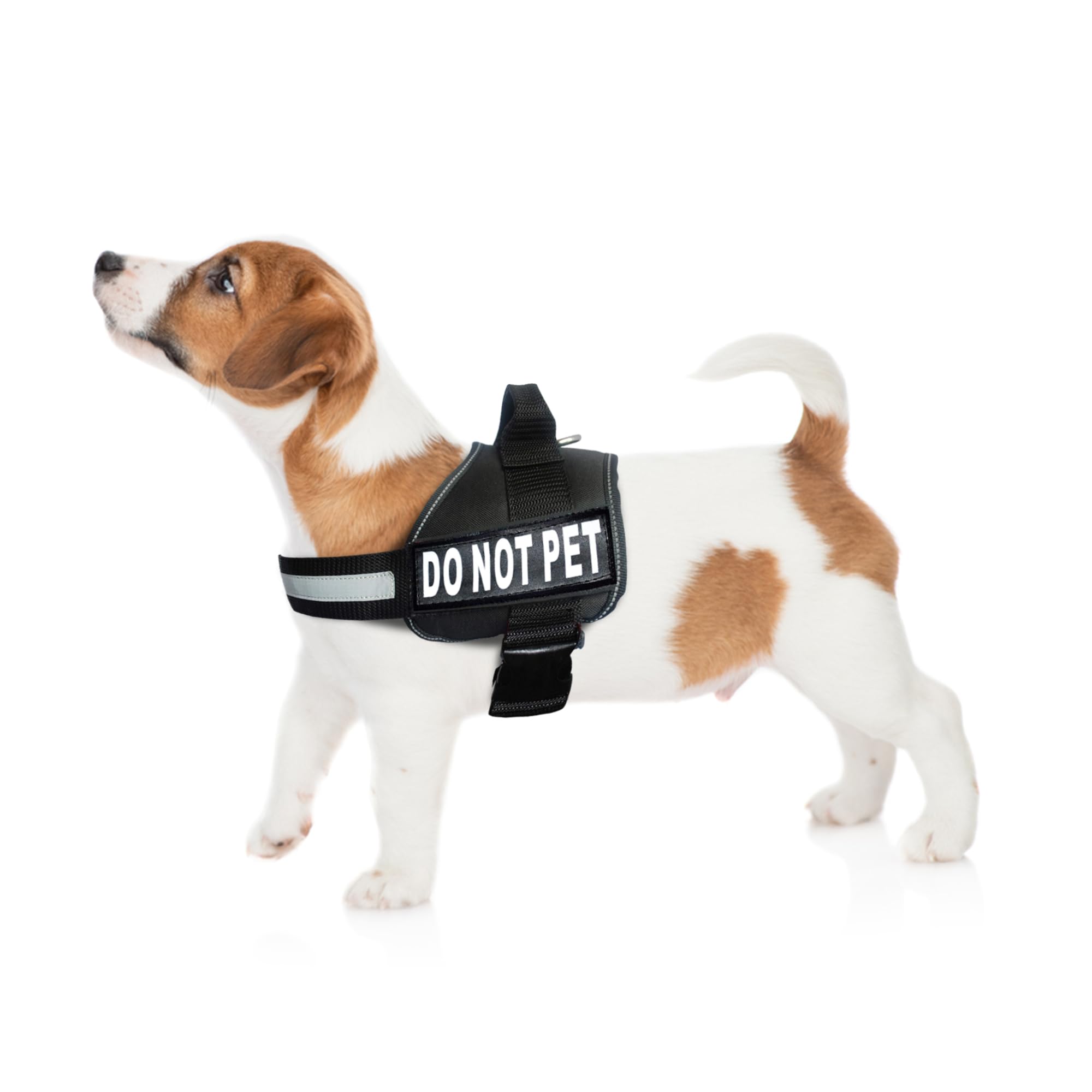 Doggie Stylz Dog Harness with DO NOT PET Patches – No Pull Service Dog Vest and Service Animal Vest for Dogs – Adjustable Gentle Leader for Dogs – Reflective, Heavy-Duty for Training and Walking
