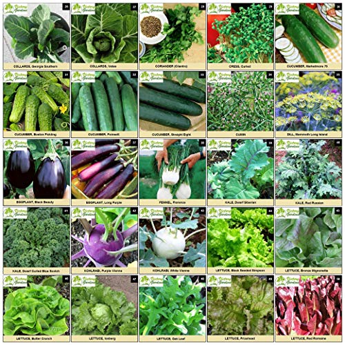 Garden Seeds Vegetable Variety Pack for Planting Grow 125 Varieties