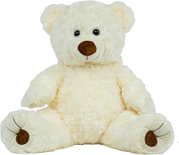 teddy bear that you can record on