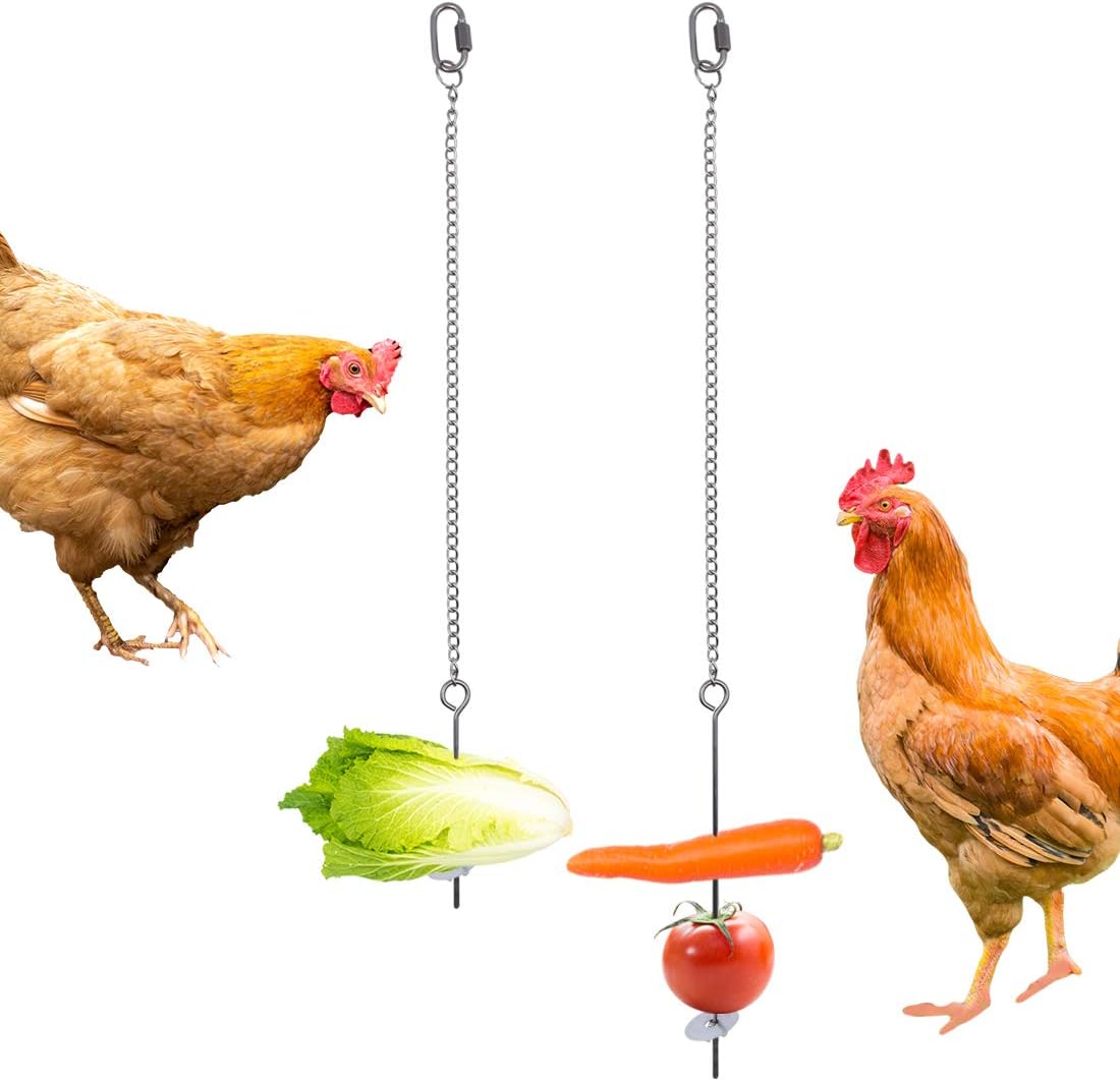 2 Pcs Chicken Veggies Fruit Skewer,Stainless Steel Vegetable Fruit Chain Hanging Holder Food Feed Tool for Chicken Parrot Bird - Image 3