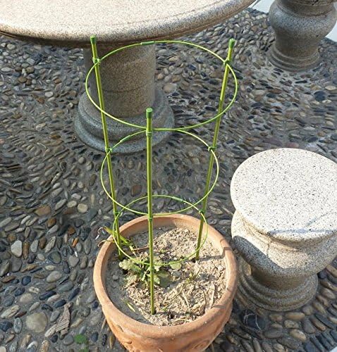 Soporte para plantas de jardín, 2 unidades de anillas para ...