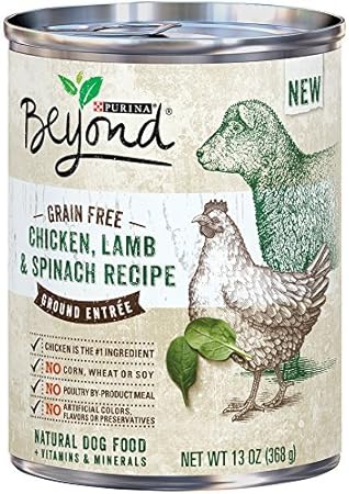 purina beyond lamb
