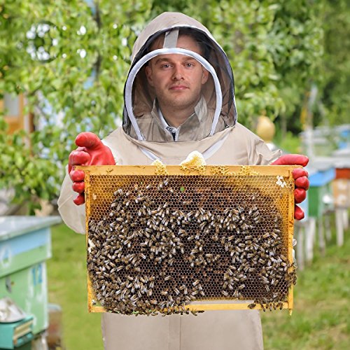 Aspectek - Apiarist Beekeeping Suit - Full Body Self Supporting Veil with Fixable Strap Protect from Stings-Large Size