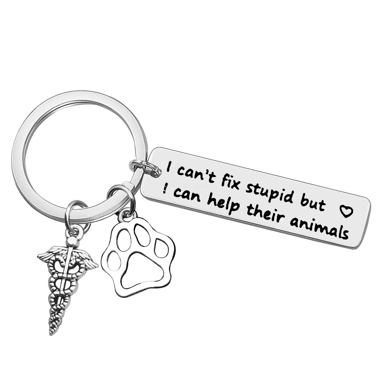 Veterinarian Keyring Birthday Gifts for Veterinarian Vet Tech Appreciation Keyring Gifts I Can Help Their Animals Keychain Veterinary Technician Gifts Veterinarian Medicine Graduation Gift