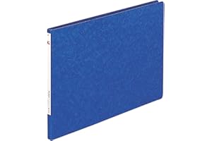 Lihit Lab F317 Eye Punchless File, A3E, Indigo