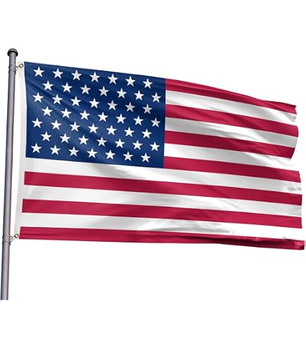 Amazon.com : Fyon United States Flag US flag 49 stars 1959 banner