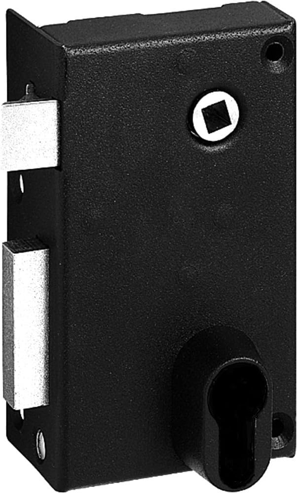 Abus FE9814202A SA V CE G Wall-mounted lock with handle/vertical lock with key lock for external left opening 70 x 120 mm, Black