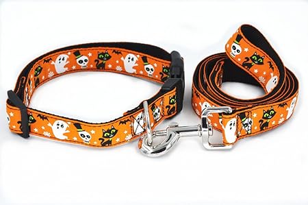designer dog collars and leashes