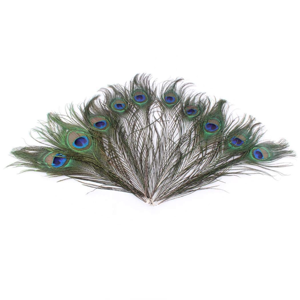 Blueis 10Pcs Natural Peacock Feathers for Crafts, Peacock Feathers in Bulk, Peacock Tail Feathers for Decor (Length:25~30cm) Feathers & Boas