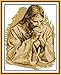 Maydear Cross Stitch Kits Stamped Full Range of Embroidery Starter Kits for Beginners DIY 11CT 3 Strands (Praying Jesus)