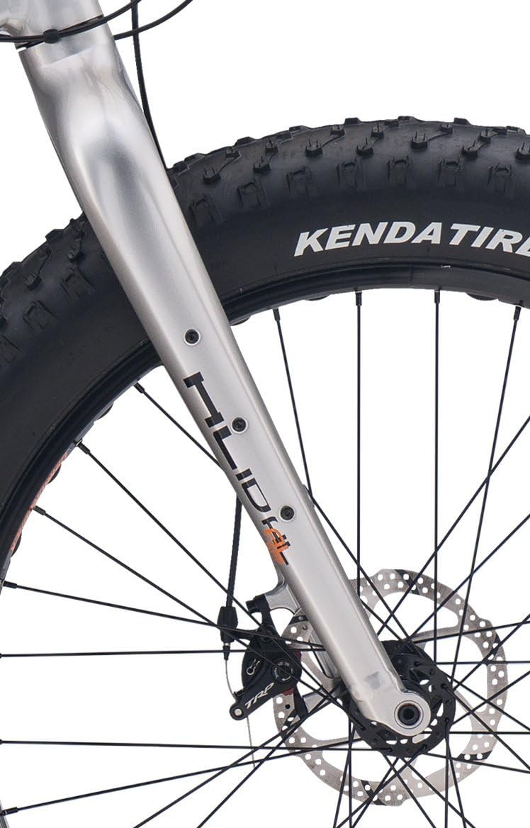 diamondback el oso dos fat bike