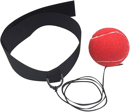 raket badminton wilson blx