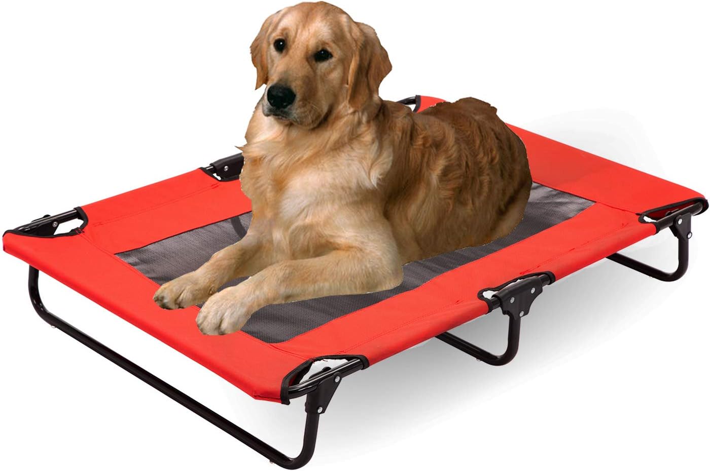collapsible dog cot