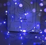 Cshare 3 Meter LED Fairy Lights Battery Operated 50 LEDs Silver Wire