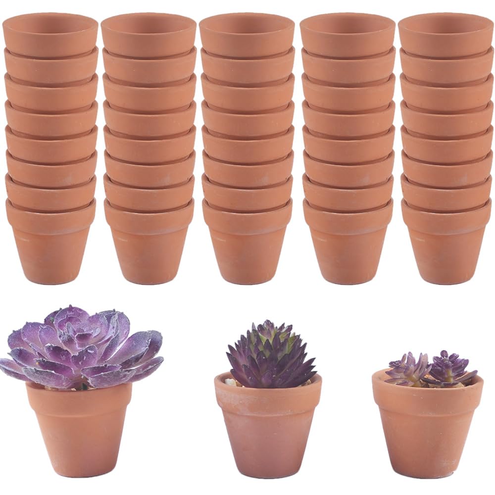 Photo 1 of NWFashion 100pcs 1.5inch Terracotta Pot Clay Planter Flower Pots with Drainage Holes for Indoor Decoration Outdoor Garden Plants DIY Craft