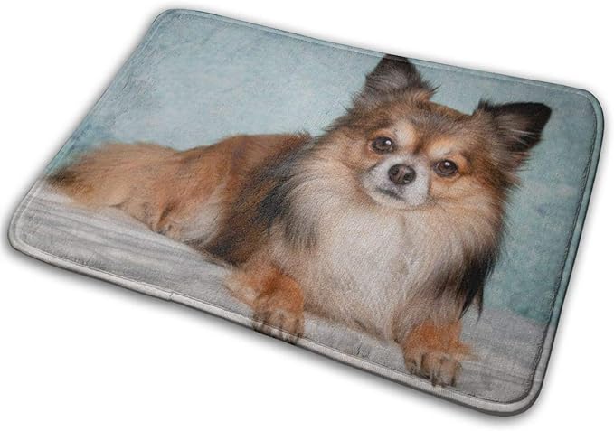 Alfombra de Revestimiento Largo marrón y Blanco Perro acostado sobre un