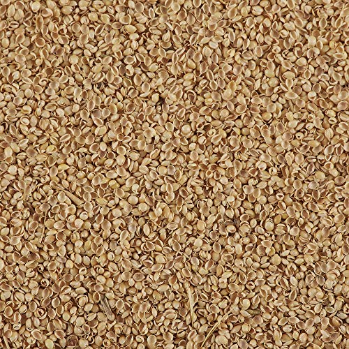 Bucky All Natural Millet Hulls Pillow Refill, 1 Pound (Pack of 1