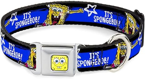spongebob dog collar