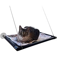 double radiator cat bed