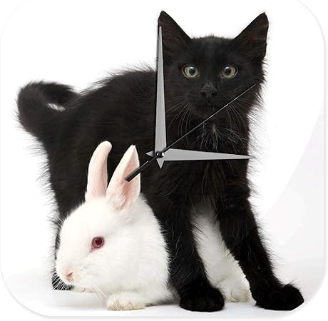 Leotie Since 2004 Dècor Cuisine Horloge Murale Marke Chat